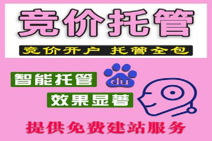 托管竞价sem的胜利：一家企业的网络营销蜕变
